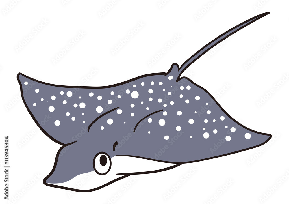 ユニークな魚のイラスト マダラトビエイ Stock Illustration Adobe Stock