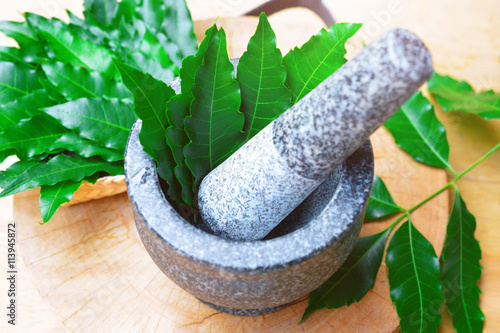 medicinal neem leaves in mortar and pestle with neem leaves in bamboo box on wooden background. herb in Thailand. photo