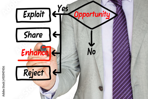 Business expert drawing a opportunity flowchart