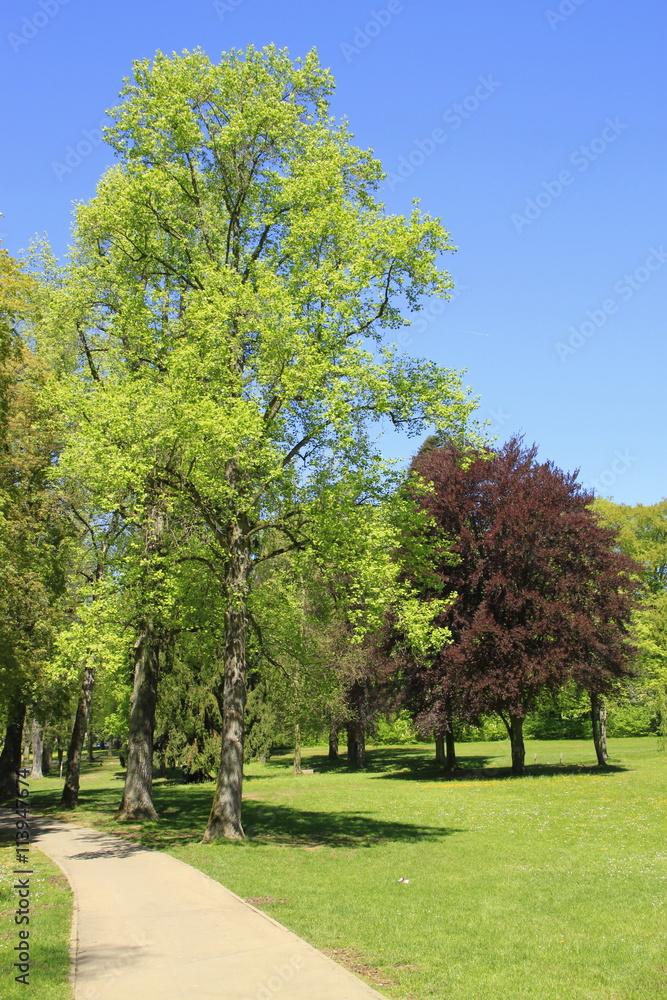 Schlosspark in Laubach