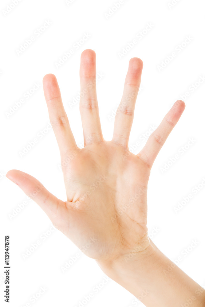 Woman hand showing five fingers, isolated on a white background. Woman hand showing five fingers, isolated on a white background.