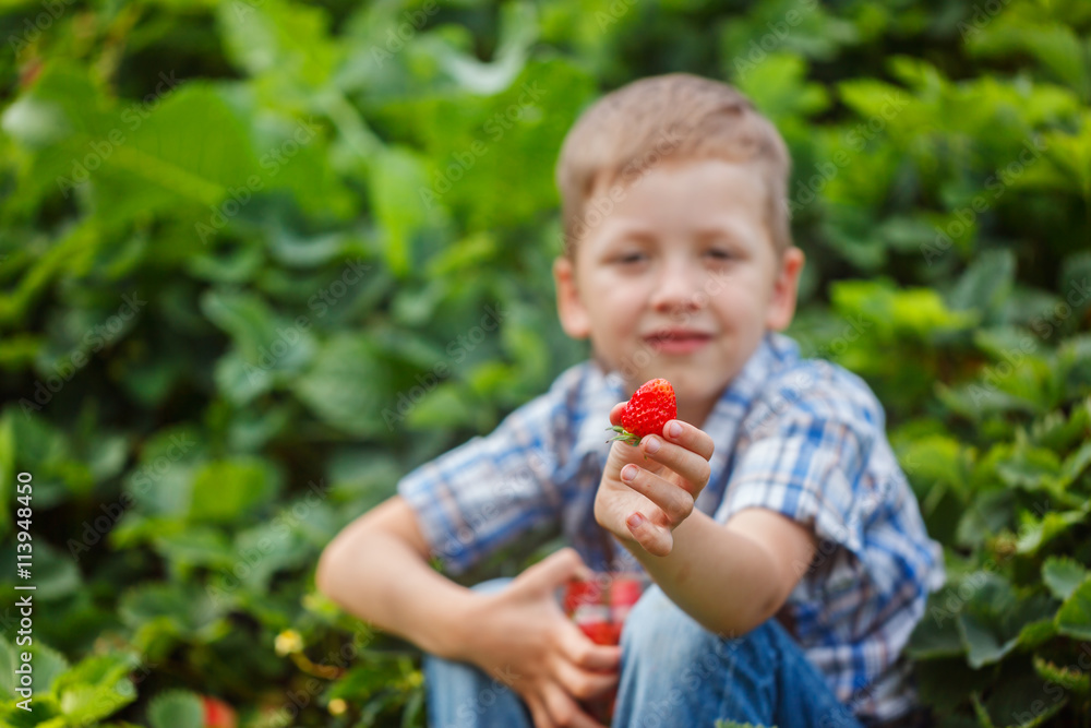 Hands of a child holding fresh strawberriy,focus on red berry Hands of a child holding fresh strawberriy,focus on red berry