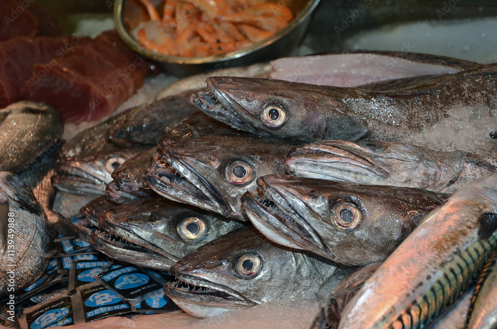 fresh mackerel fish market detail photography of stand