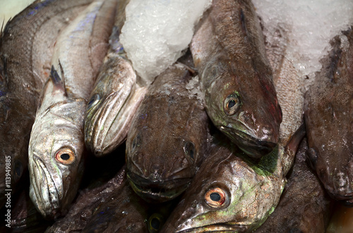 fresh mackerel fish on ice market detail photography
