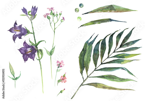 bell, leaves, watercolor