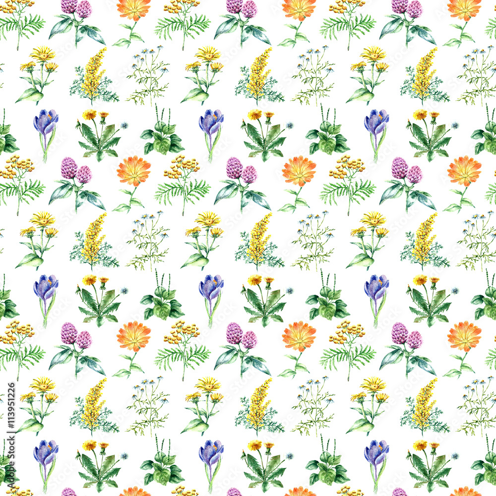 Collection of hand drawn medical herbs and plants. seamless pattern