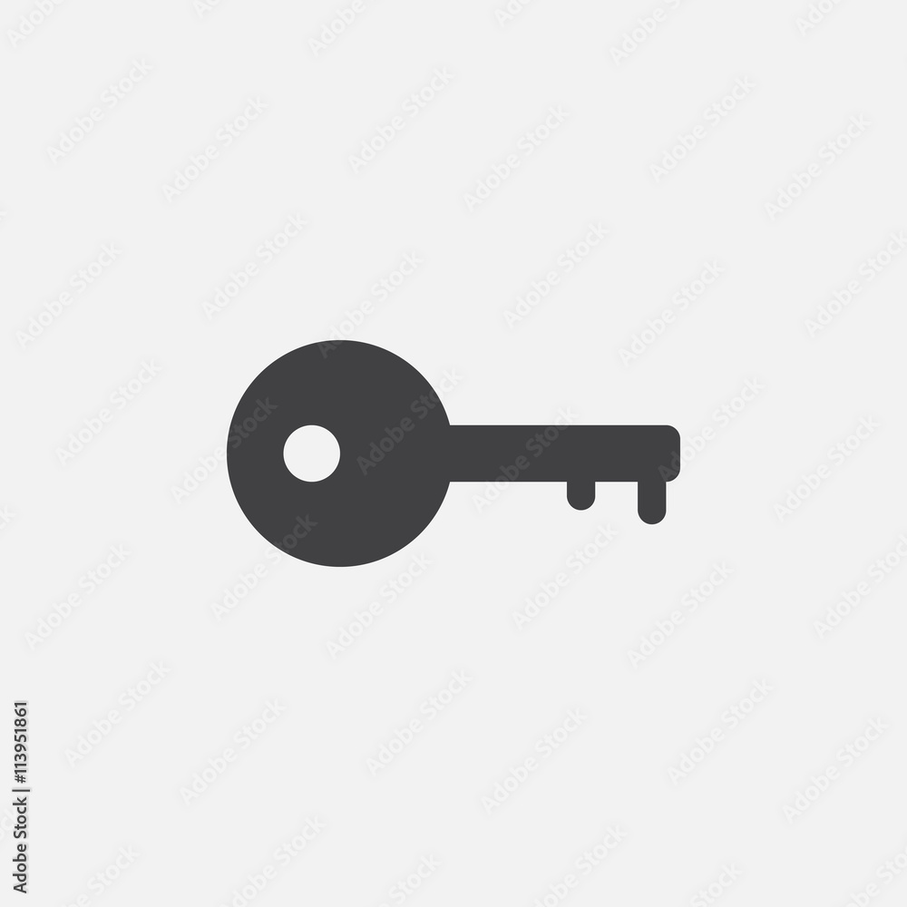 key icon key icon