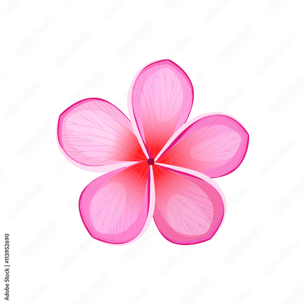 Fototapeta premium Beauty Flower Design Flat Isolated