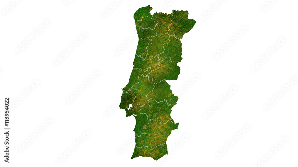 Portugal tropical texture map