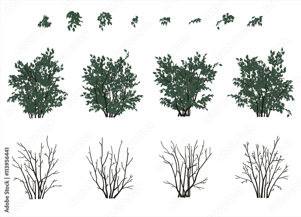 Obraz premium bushes set in flat colors