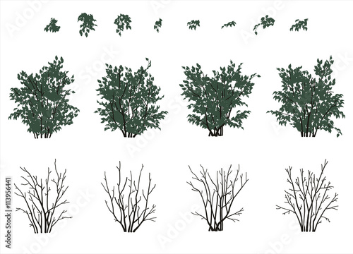 Photographie bushes set in flat colors