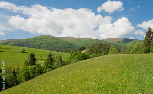 Green mountains with spruce tree forest under white clouds.