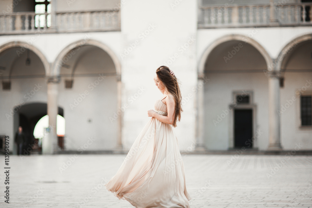 Fototapeta premium Beautiful girl, model with long hair posing in old castle near columns. Krakow Vavel
