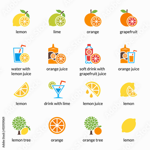 Orange, lemon, lime and grapefruit vector icons. Drink with citrus, alcohol lemonade