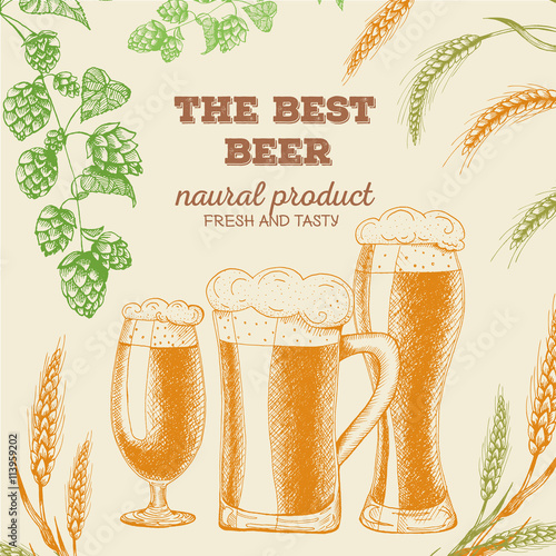 Vector template illustration of beer. Raw material for brewing: branch hops and ears barley. Card design.