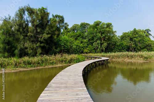 Wooden path with lake