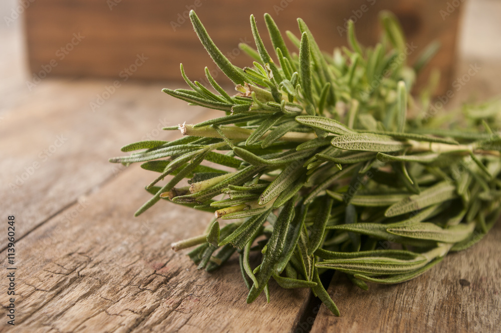 Organic bunch of fresh rosemary on the table Organic bunch of fresh rosemary on the table