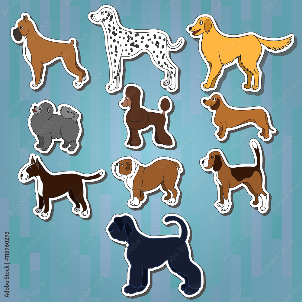 Set of cartoon dog breeds