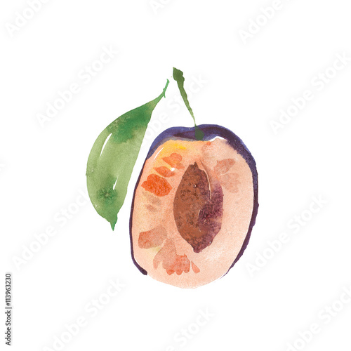 Plum, damson, prune were created with watercolor paint, high-quality paper textures. You may use it for creation a pack, label, illustrations of seasonal festival, flyer, poster, background, card. photo