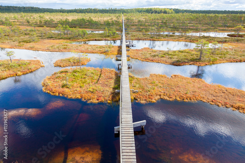 Foto top view of autumn landscape. Huge bog in Estonia