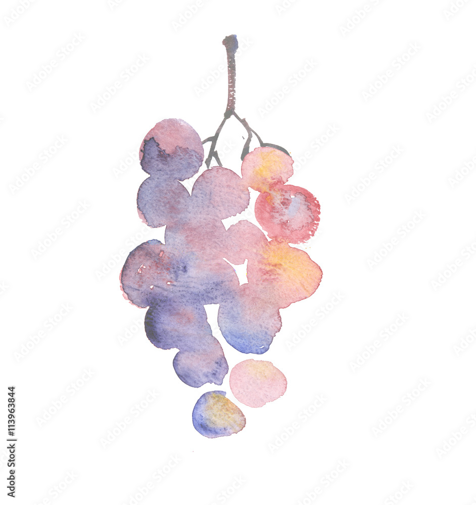 rosy grape watercolor sketch. hand drawn wine bunch of grapes Stock