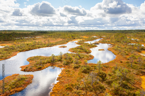 top view of autumn landscape. Huge bog in Estonia