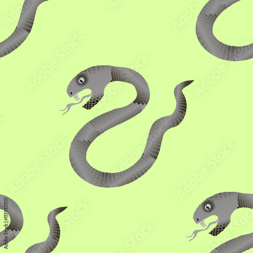 Grey Snake Seamless Background. Animal Pattern. Attack Crawling  Danger Predator