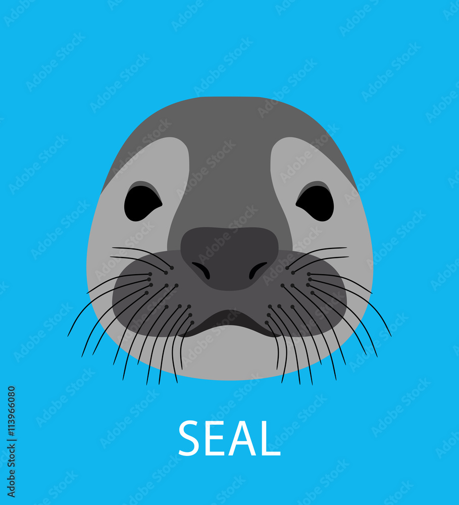 Abstract sea seal. Cartoon flat sea seal portrait isolated on blue. Nature<  animal and wildlife theme. Graphic sea seal for card, book, invitation,  poster, banner. Sea wild animal collection. Stock Vector |
