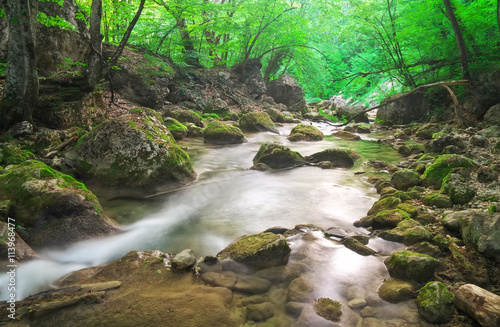 Mountain river in spring. 