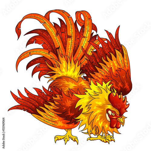Fighting orange-red rooster on white