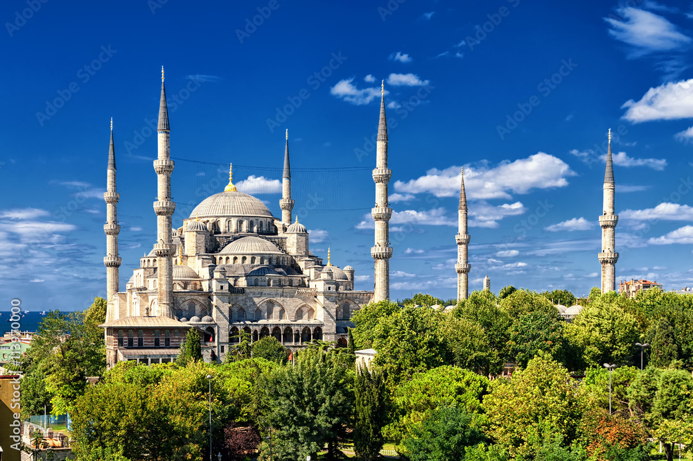 Fototapeta premium Blue Mosque, Sultanahmet, Istanbul, Turkey