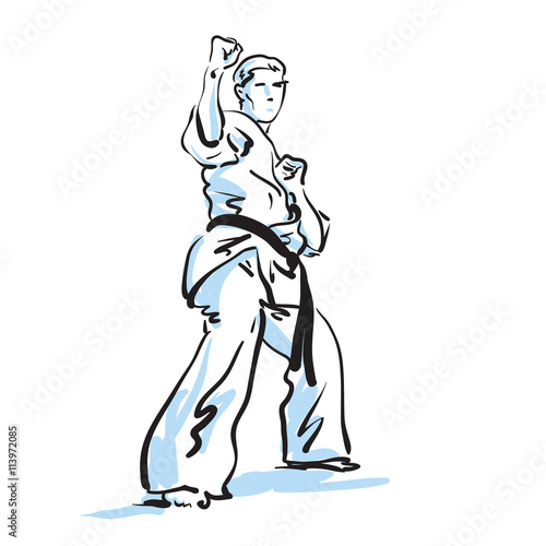 karate fighter, vector illustration