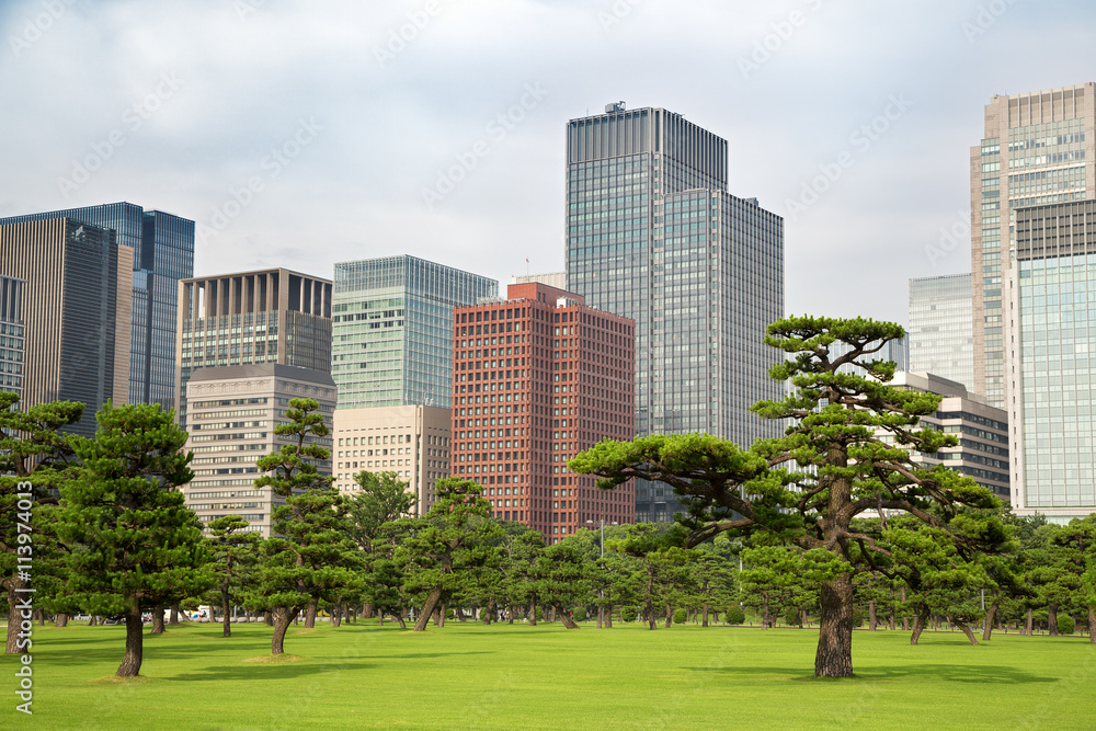 Fototapeta premium Panoramę Tokio