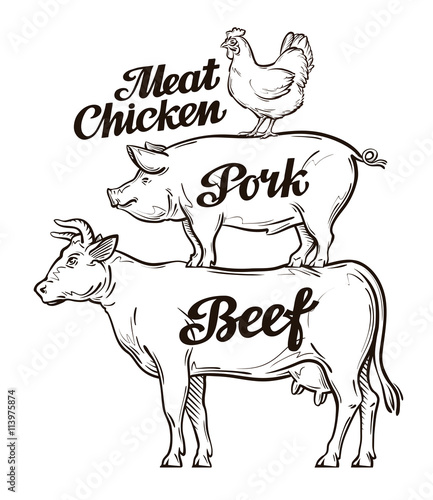 Farm, animal husbandry, cattle breeding, livestock farming. Beef, pork and chicken meat. Cow, pig, rooster vector illustration