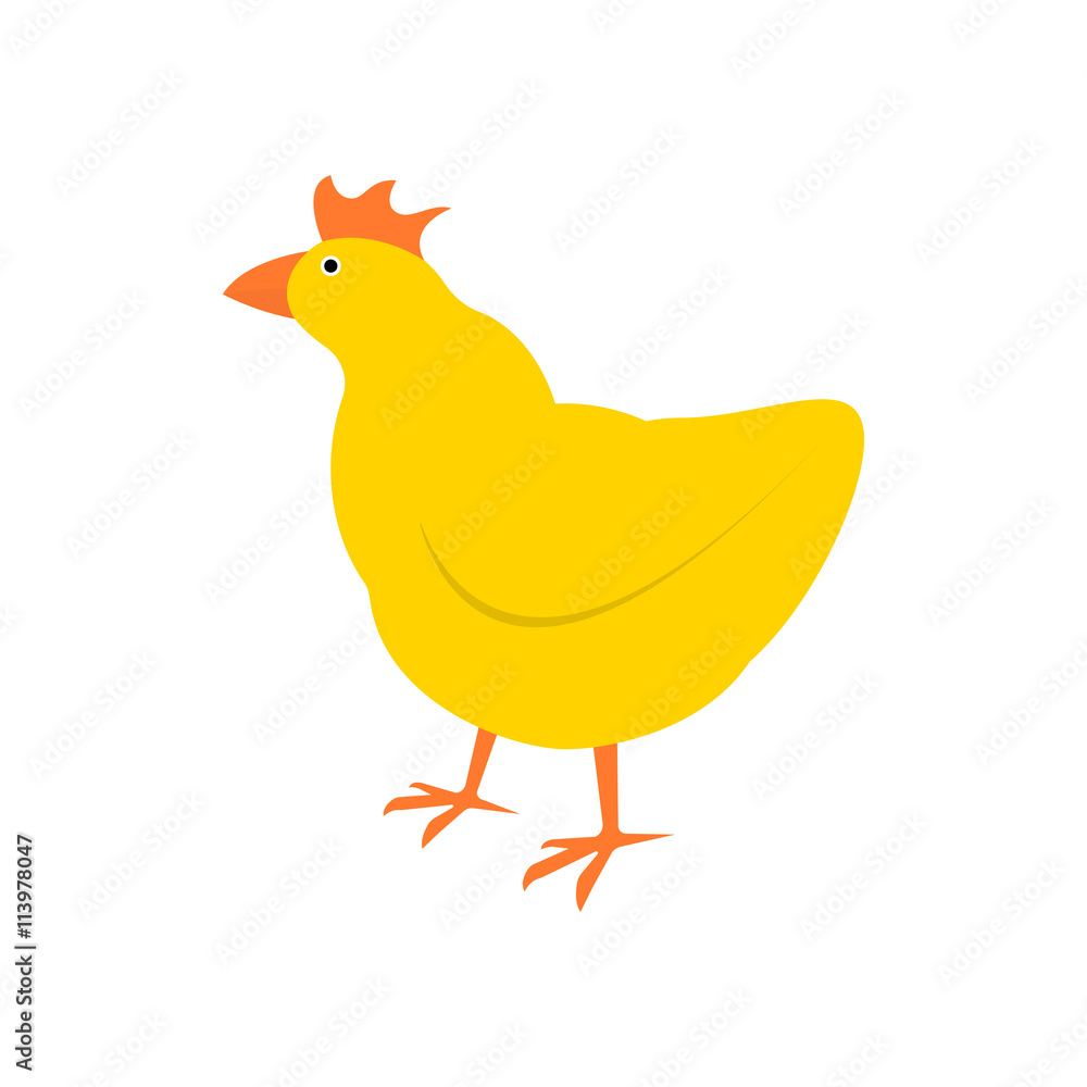 Chicken vector illustration. Cartoon chicken bird isolated on background. Vector illustration. Chicken vector illustration. Cartoon chicken bird isolated on background. Vector illustration.
