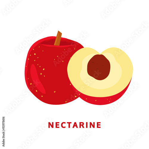 nectarine fruit. isolated food vector logo on white