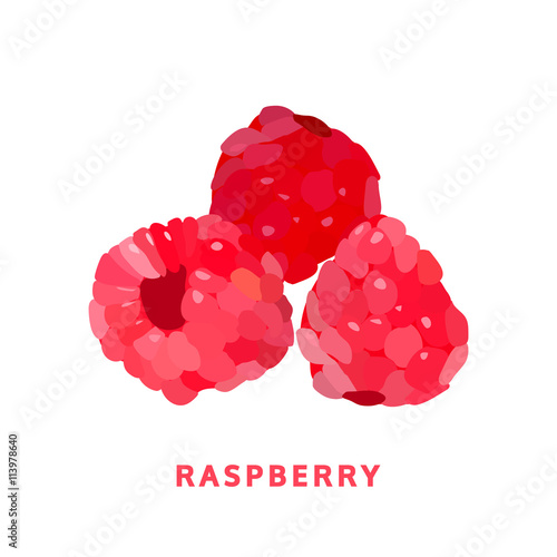 raspberry fruit. isolated food vector icon on white