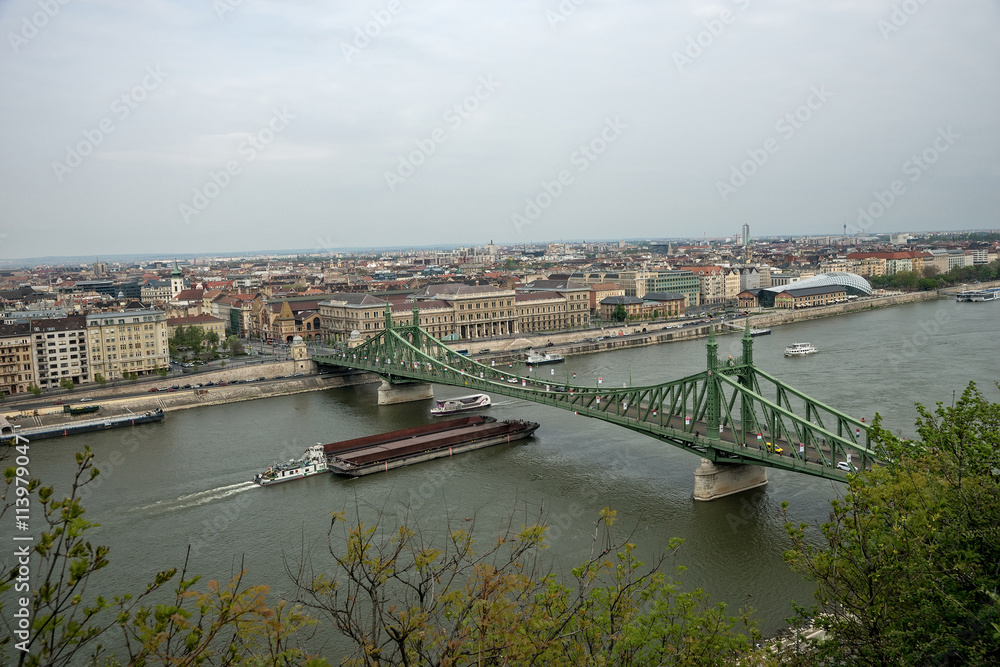 Freedom Bridge in Budapest  Hungary