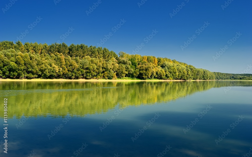 Fototapeta premium Danube river reflection / Fall Scene and Trees Autumn Reflection on Danube river