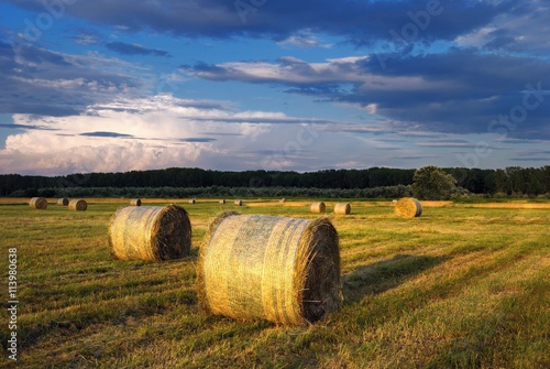 Hay Bale Farm / Hay bales on the field after harvest, Hungary