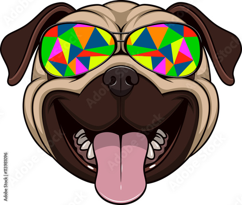 Funny kind pug