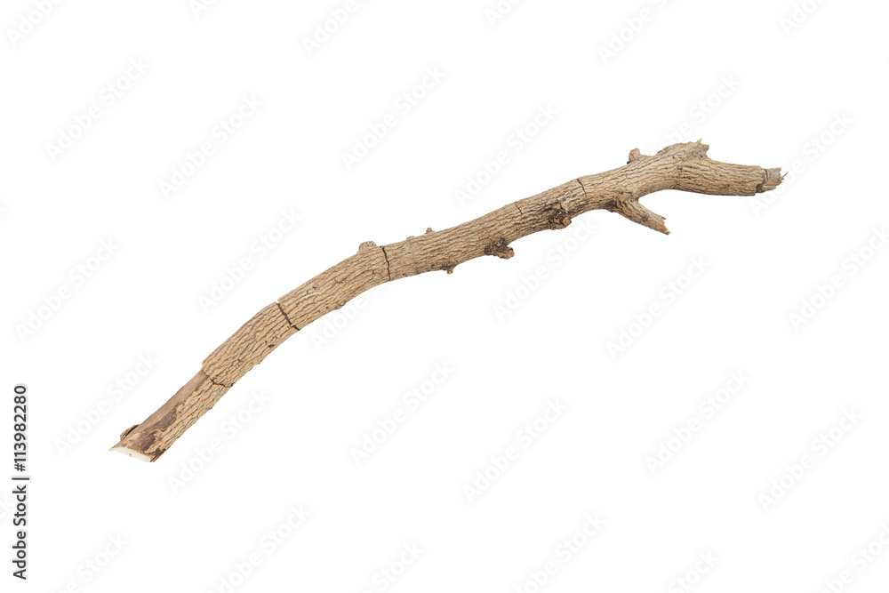 twig twig