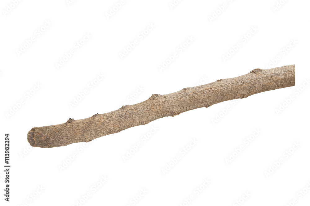 twig twig