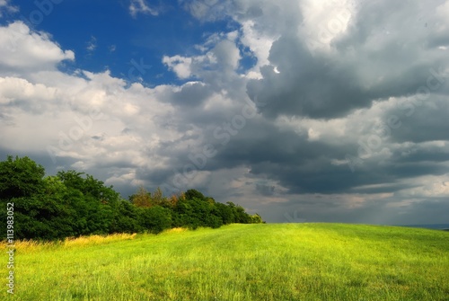 Summer meadow with trees and clouds