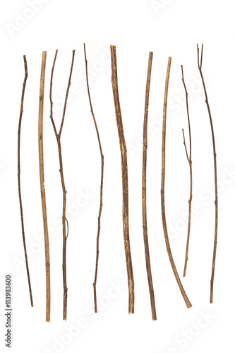 Canvas-taulu twig