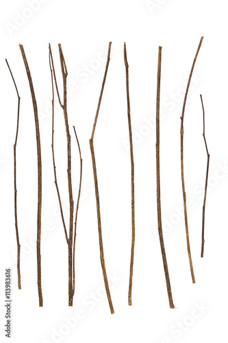 Valokuva twig