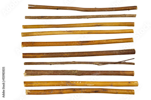 Canvas-taulu twig