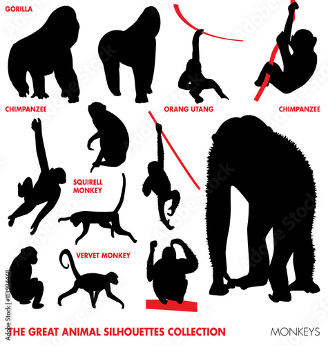 the great animal silhouettes collection - monkeys