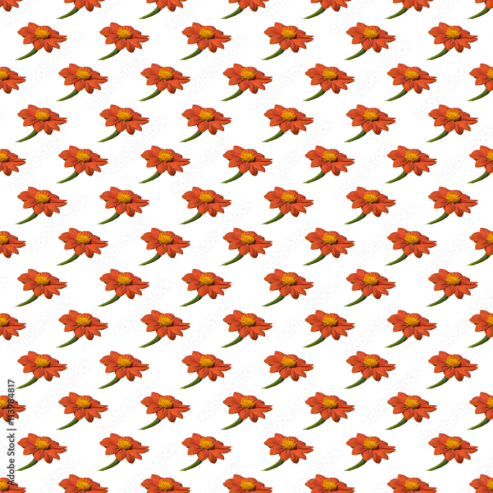 Seamless repeat pattern of Mexican Sunflower Seamless repeat pattern of Mexican Sunflower