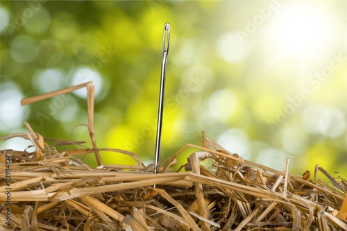 Needle in a Haystack.